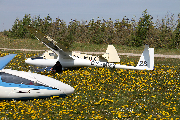 OY-MMX at Arnborg (EKAB)