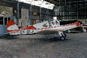 OY-DLF at Redhill, UK (EGKR)